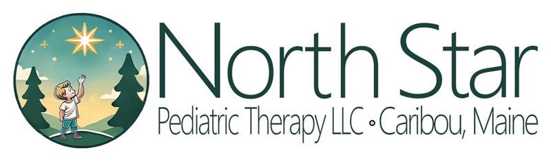 North Star Pediatric Therapy